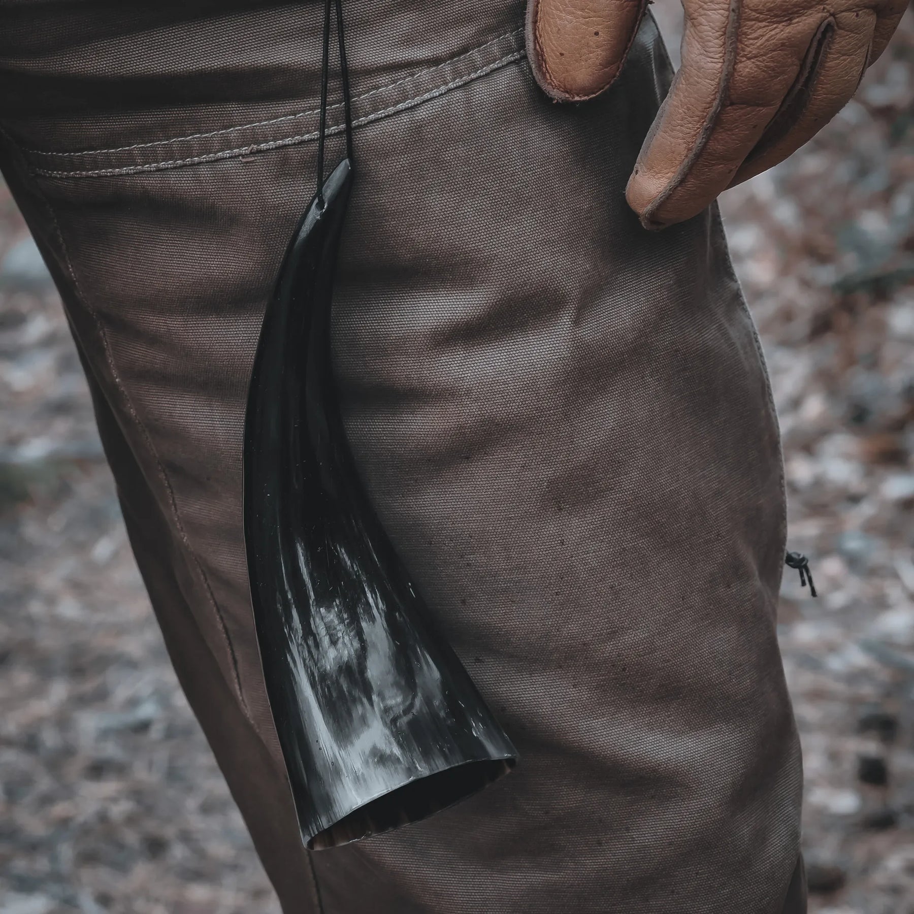 Small horn with leather string