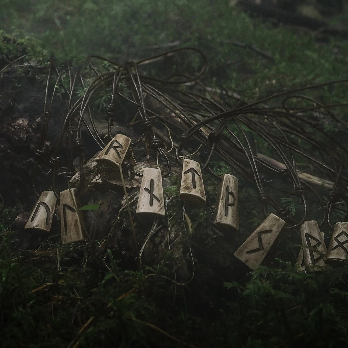Nordic Runes of bone