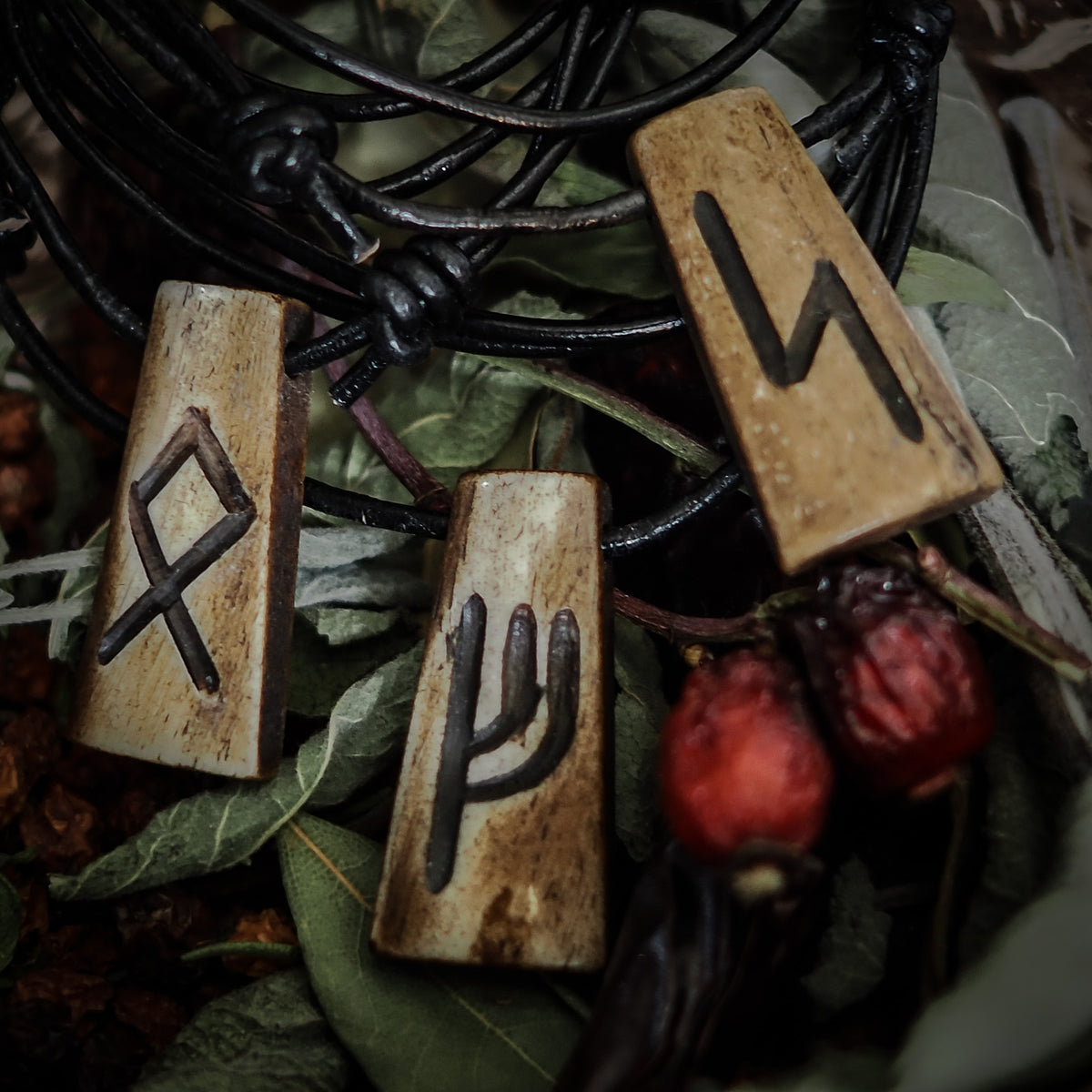 Nordiska Runor i ben