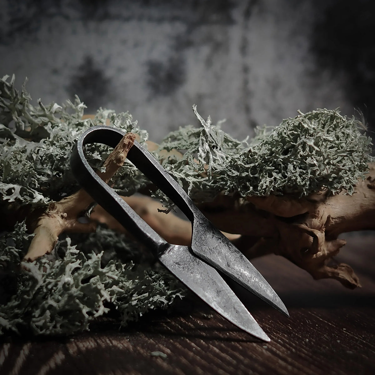Liten Örtsax och Skäggsax, sluten position visar eleganta bågar och släta handlöpare, handsmedd stål på naturlig mosspräglad ved