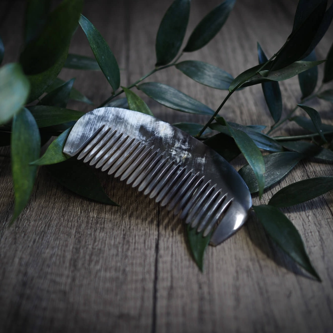 Rounded horn Comb