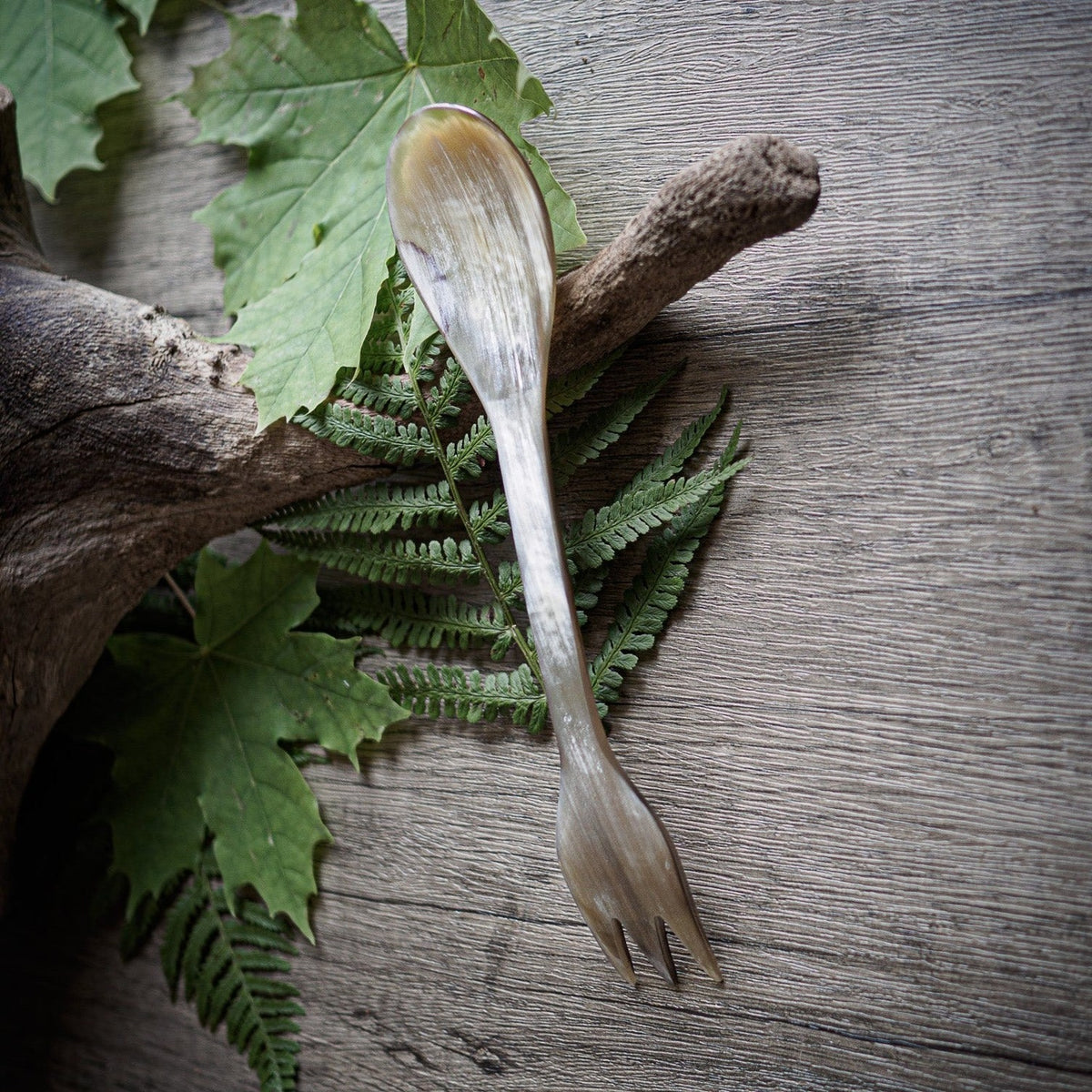 Spork i oxhorn fotograferad tillsammans med naturlig vegetation och trä för att framhäva miljövänlig camping-användning. Ljus ensfärgad hornyta, cirka 19 cm långt verktyg med skopa i ena änden och gaffel i den andra. 100% kompostbart.