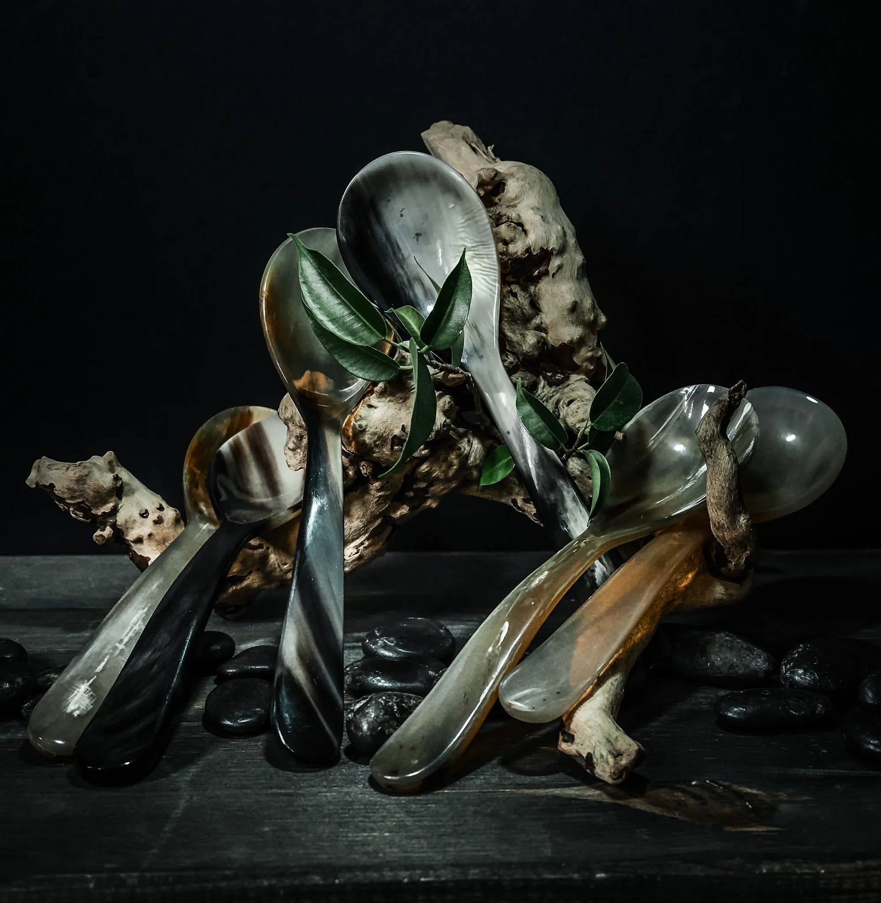 Horn serving spoons, set of 6
