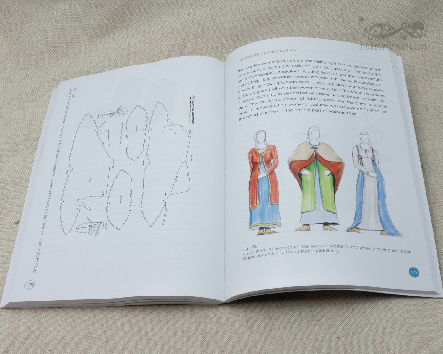 Viking Dress Code, bok