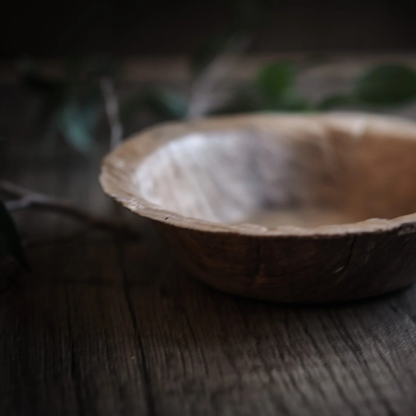 En engångstallrik i palmblad fotograferad från sidan, visar naturlig struktur och färg från det organiska materialet.