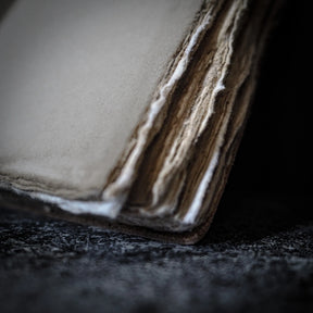 Notebook, Tree of Life