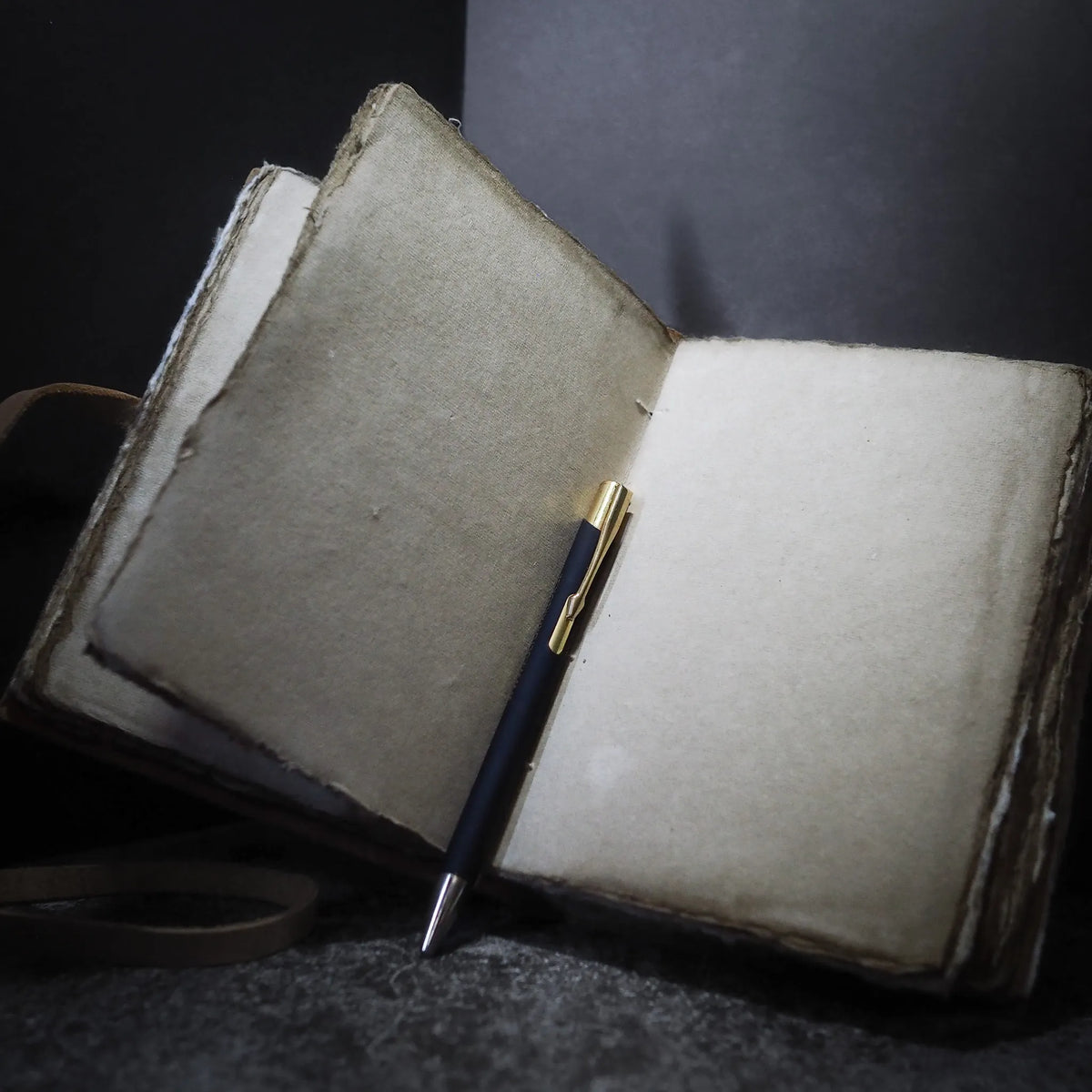 Notebook, Tree of Life