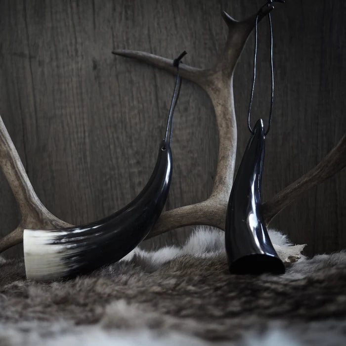 Small drinking horn