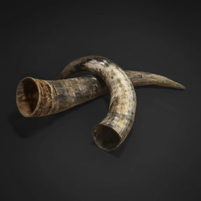 Råhorn, stor størrelse – to store horn i kryssvisning, åpne munninger synlige