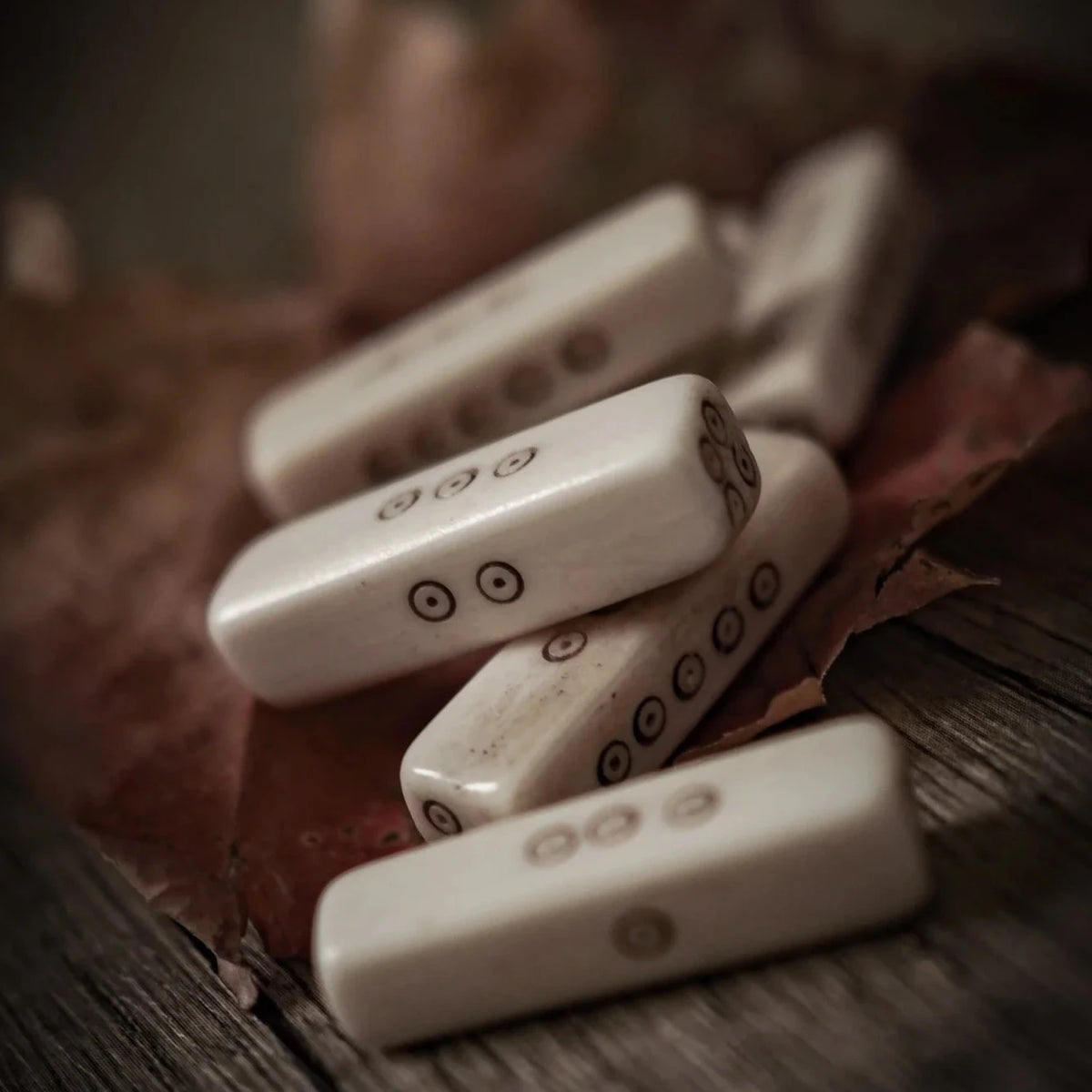 Viking era rectangular bone dice