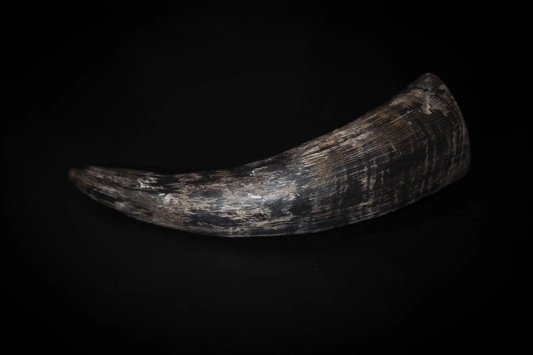 Drinking horn 350ml