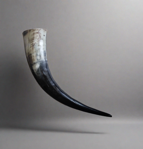 Drinking horn, 500 ml