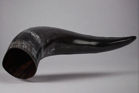 Drinking horn, 1500 ml.