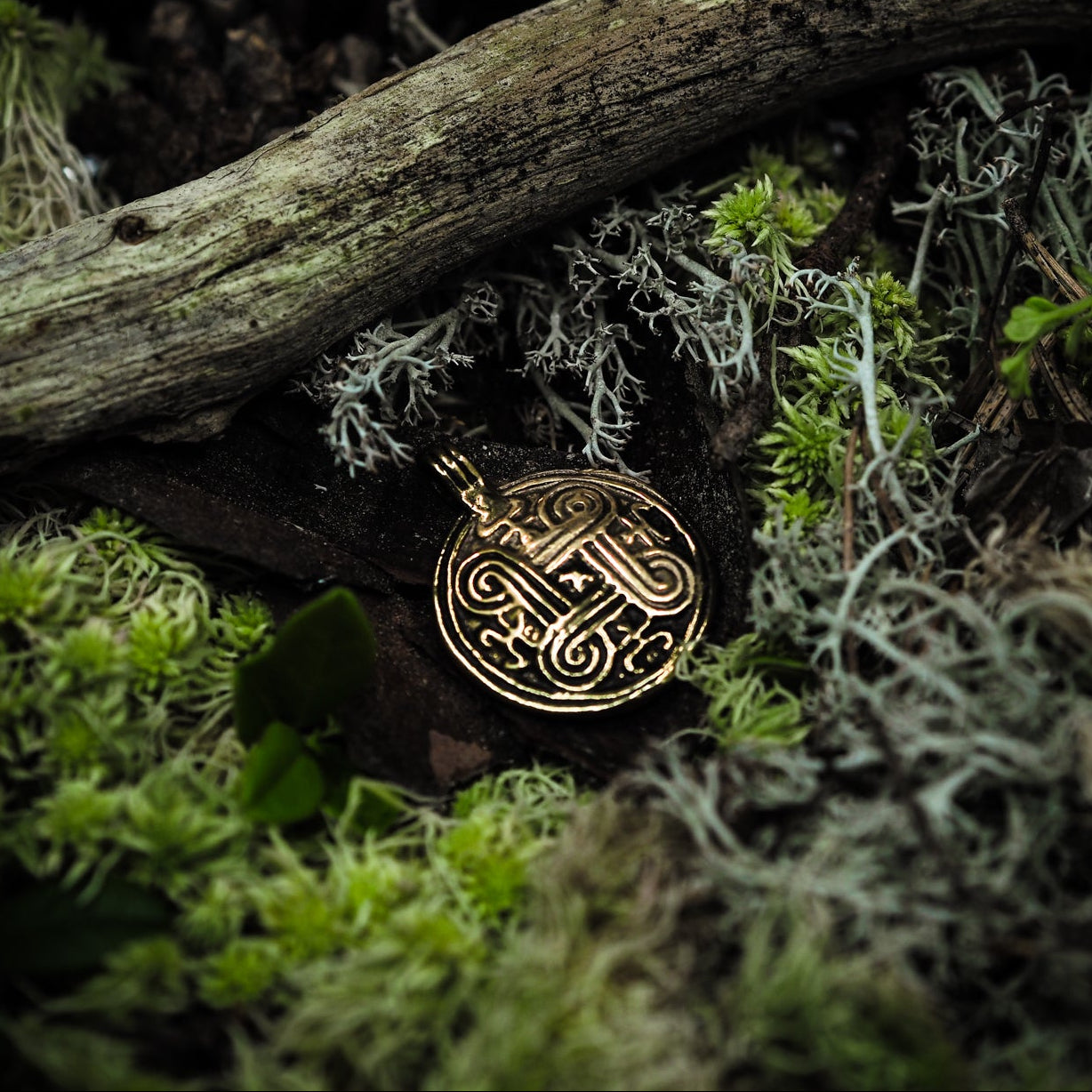 Eternity symbol, bronze – bronze pendant lying among moss and twigs outdoors